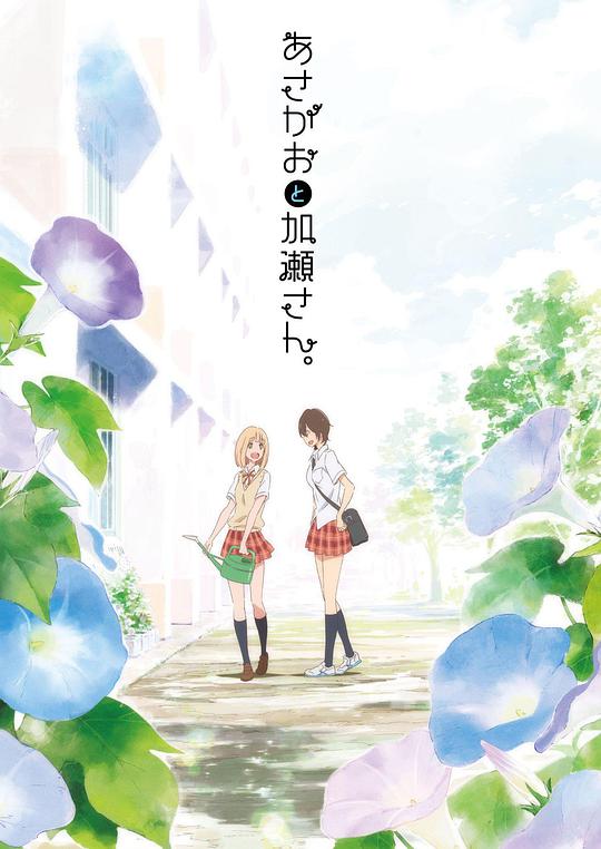 牵牛花与加濑同学。(全集)